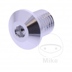 DAYTONA Right Side Mirror Screw Cap M10 X 1.25 MM 11MM 7753625