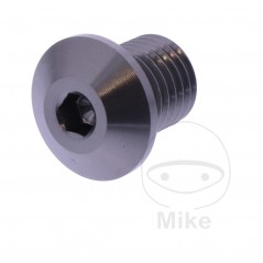 DAYTONA Right Side Mirror Screw Cap M10 X 1.25 MM 11MM 7753627