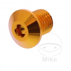 DAYTONA Left Rearview Mirror Screw Cap M10 X 1.25 MM 11MM 7753630