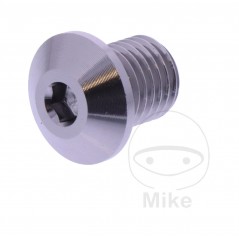 DAYTONA Left Rearview Mirror Screw Cap M10 X 1.25 MM 11MM 7753634