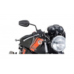 DAYTONA Universal mirror 7130837