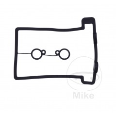 Valve cover gasket OEM (REC ORIGINAL) 7348511
