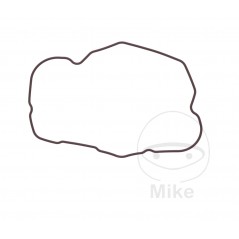 Valve cover gasket OEM (REC ORIGINAL) 7348516