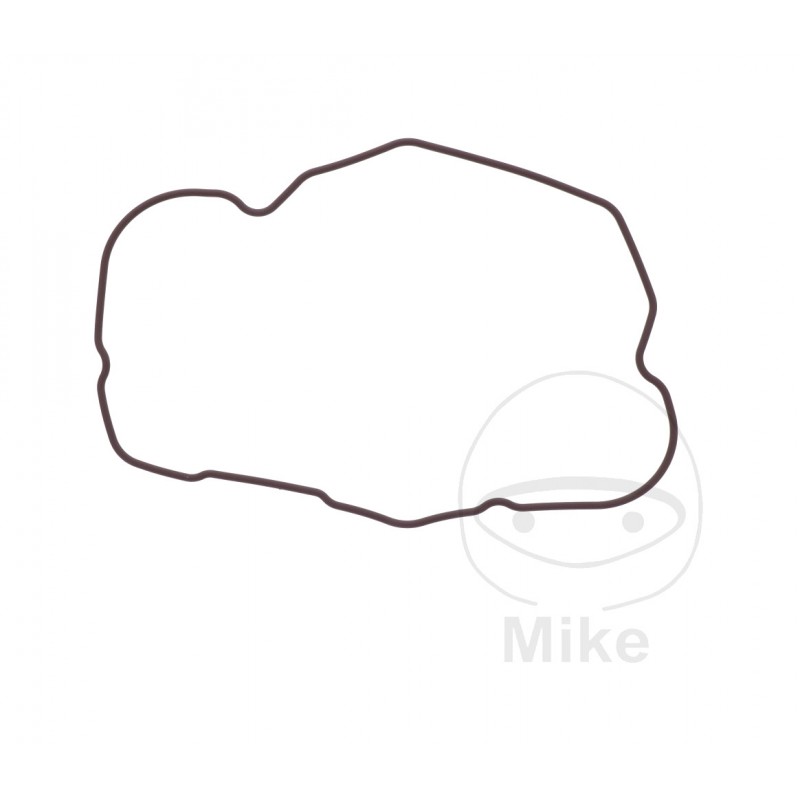 Valve cover gasket OEM (REC ORIGINAL) 7348516