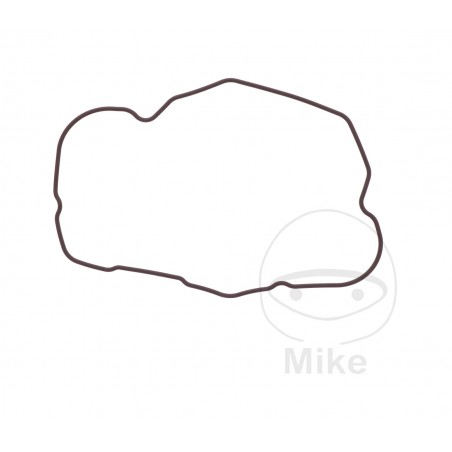 Valve cover gasket OEM (REC ORIGINAL) 7348516