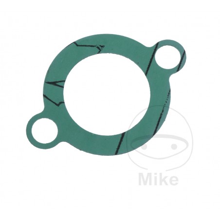 Timing chain tensioner gasket OEM (REC ORIGINAL) 7348621