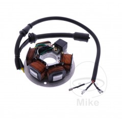 101 OCTANE Estator 7003308