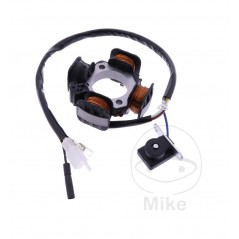 101 OCTANE Stator 7003320