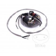 RMS Stator alternator coil 7003300