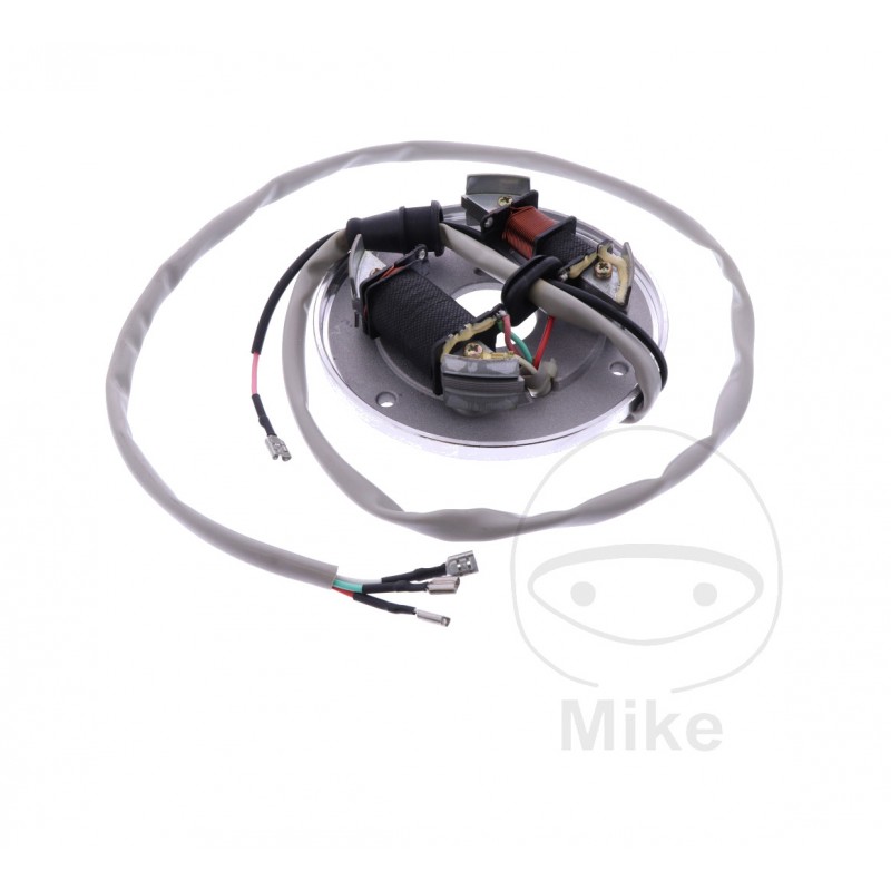 RMS Stator alternator coil 7003300