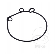 Junta para taza de carburador una pieza OEM (REC ORIGINAL) 7244260