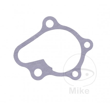 Water pump cover gasket OEM (REC ORIGINAL) 7347514