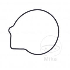 Water pump cover gasket OEM (REC ORIGINAL) 7348528