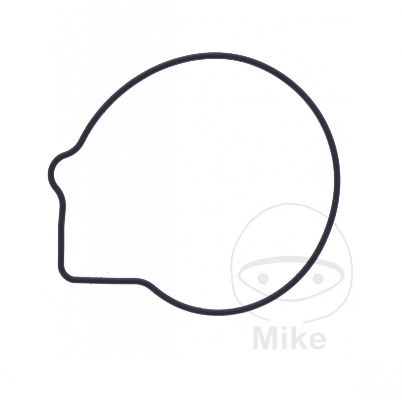 Water pump cover gasket OEM (REC ORIGINAL) 7348528