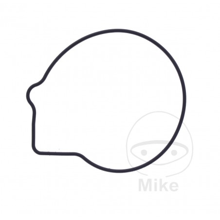 Water pump cover gasket OEM (REC ORIGINAL) 7348528