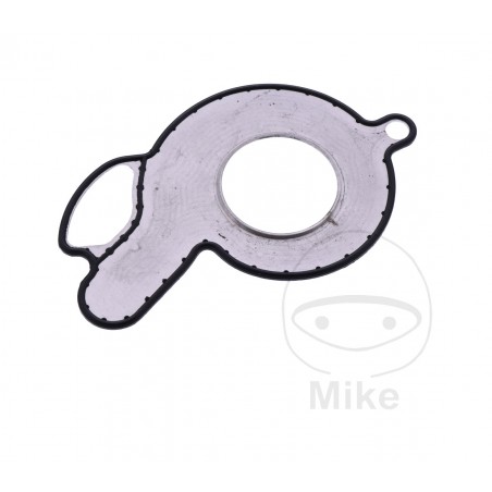 Water pump cover gasket OEM (REC ORIGINAL) 7348646