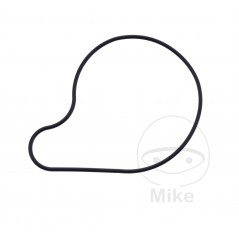 Water pump cover gasket OEM (REC ORIGINAL) 7348648