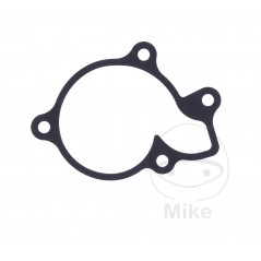 Water pump cover gasket OEM (REC ORIGINAL) 7348649