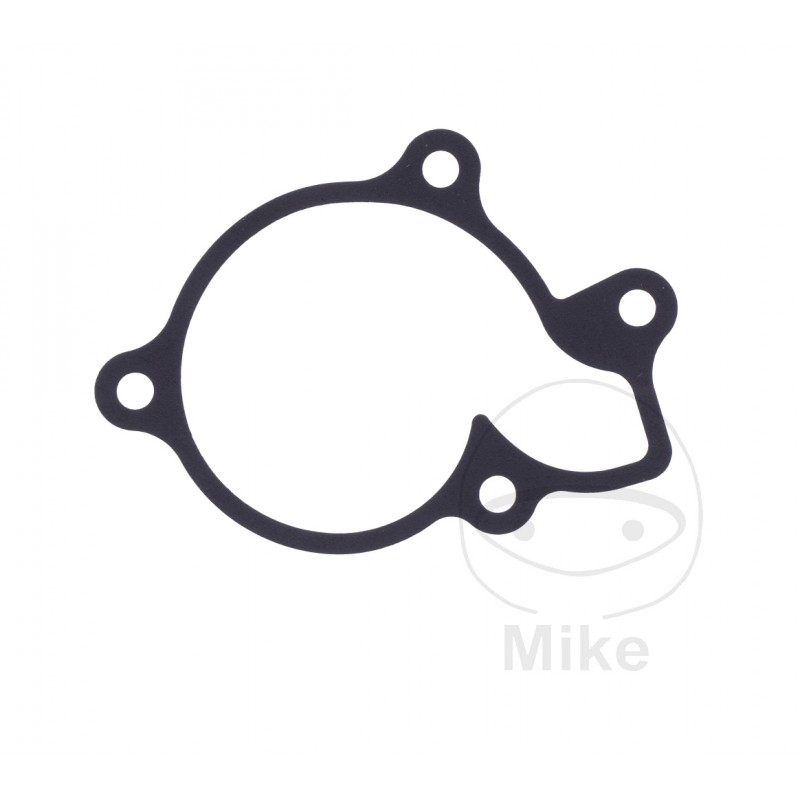 Water pump cover gasket OEM (REC ORIGINAL) 7348649