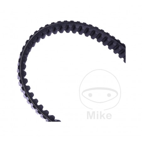 JT DRIVE BELT Correa reforzada 7550571