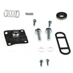 Petrol faucet repair kit