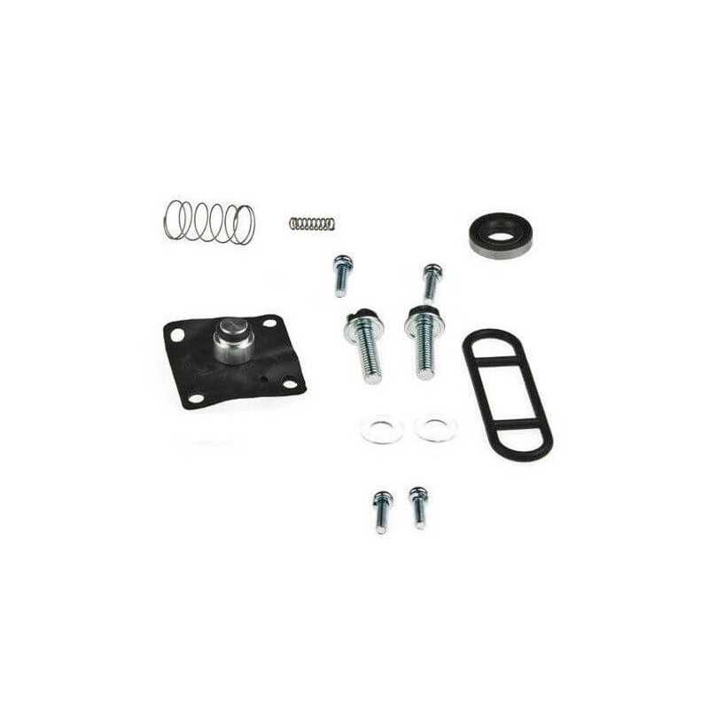 Petrol faucet repair kit