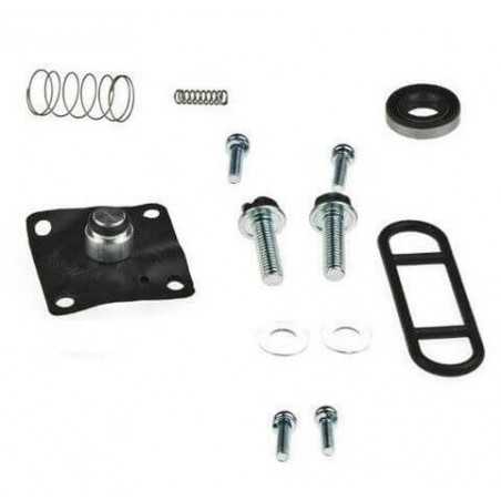 Petrol faucet repair kit