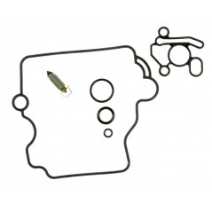 Carburetor repair kit