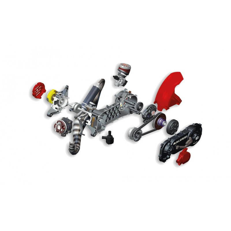 MALOSSI Motor completo sin montar 95CC RC-ONE 1147887