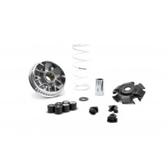 MALOSSI Complete variator MULTIVAR 2000 1151295