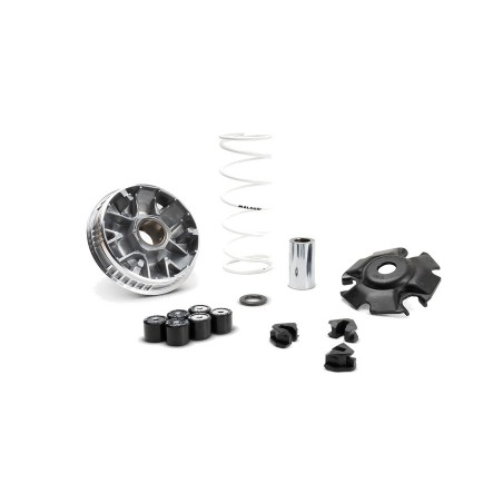 MALOSSI Complete variator MULTIVAR 2000 1151295