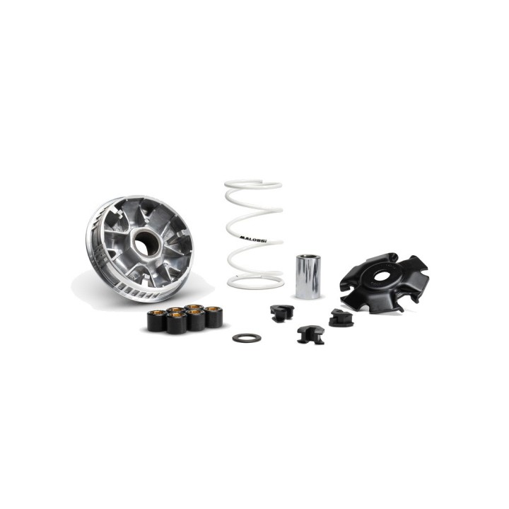 MALOSSI COMMANDE, COMPLETE MULTIVAR 2000 1152258