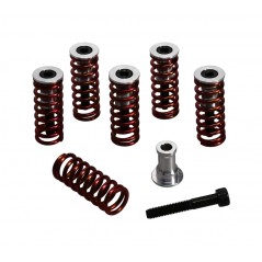 REKLUSE Clutch Spring Kit with 6 Red Springs CORE MEDIANSO 1149861