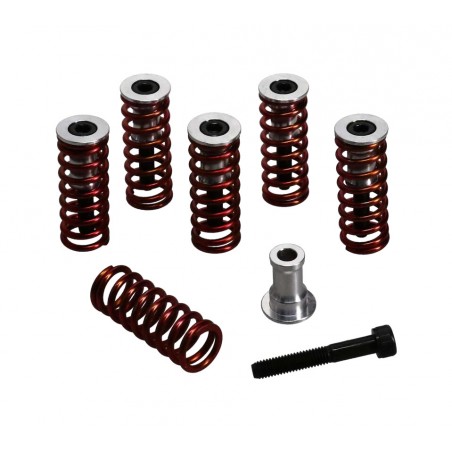 REKLUSE Kit de muelles embrague con 6 rojos CORE MEDIANSO 1149861