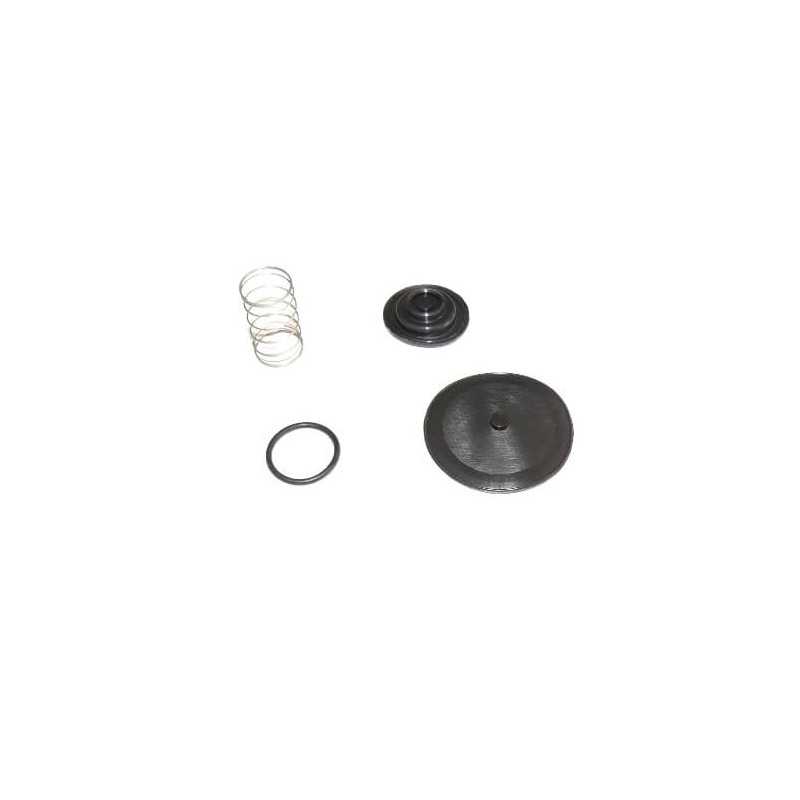 Petrol faucet repair kit