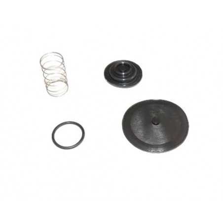 Petrol faucet repair kit