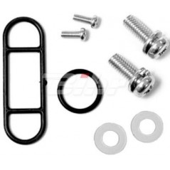 Petrol faucet repair kit