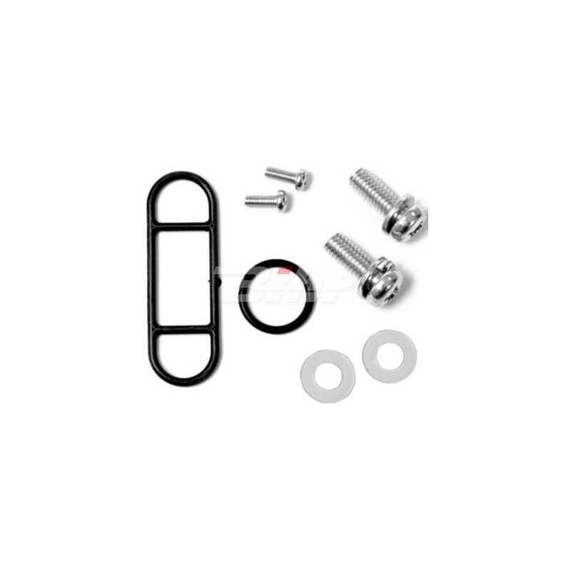 Petrol faucet repair kit