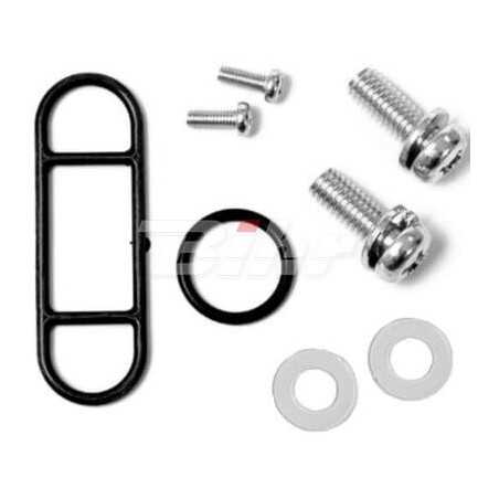 Petrol faucet repair kit