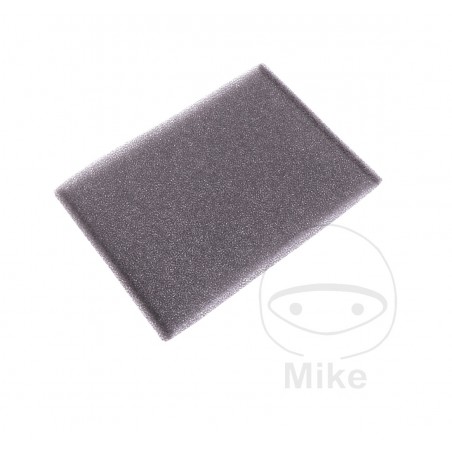 Foam Air Filter OEM (REC ORIGINAL) 7233036