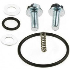 Petrol faucet repair kit