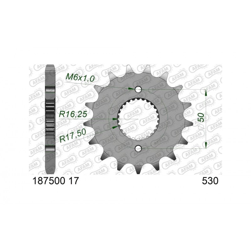 AFAM Piñón de acero estándar 1875001-530 1151604001