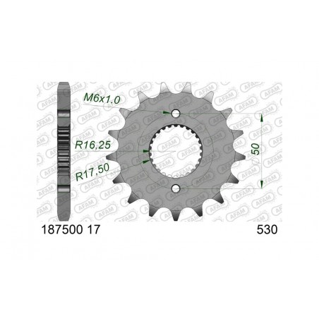 AFAM Piñón de acero estándar 1875001-530 1151604001