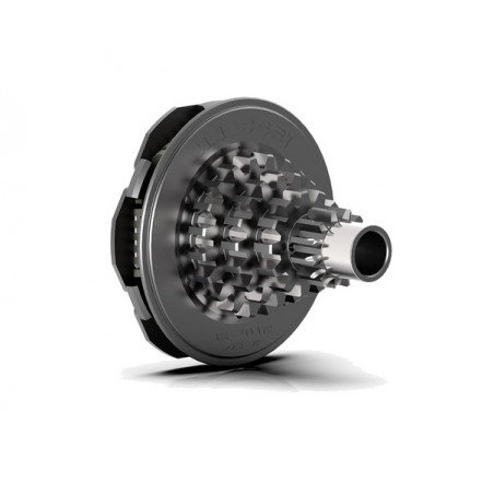 MALOSSI Multi-tree assembly with flexible splices 1152803