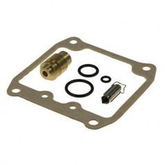Carburetor repair kit  trasero