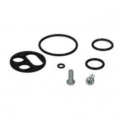 Petrol faucet repair kit  HFA6301