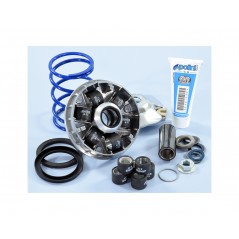 POLINI Variador completo HI-SPEED EVO PIAGGIO D16-12,5º 241.748 1146984