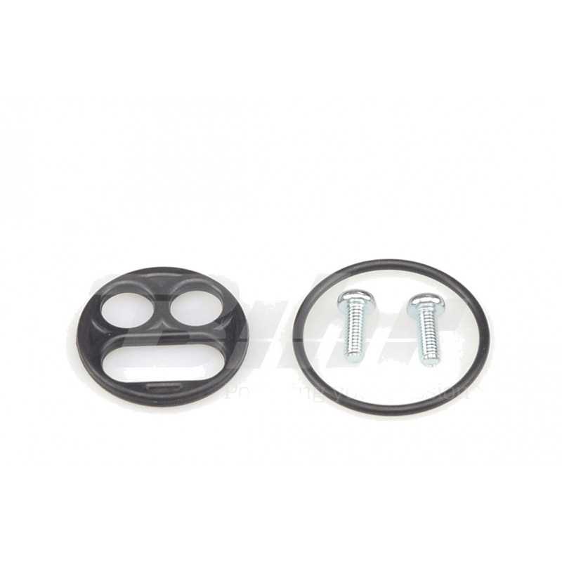 Petrol faucet repair kit
