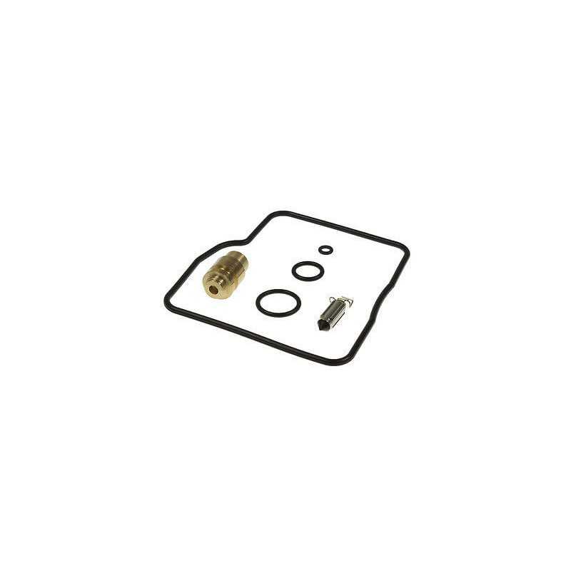 Carburetor repair kit  delantero