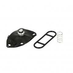 Petrol faucet repair kit